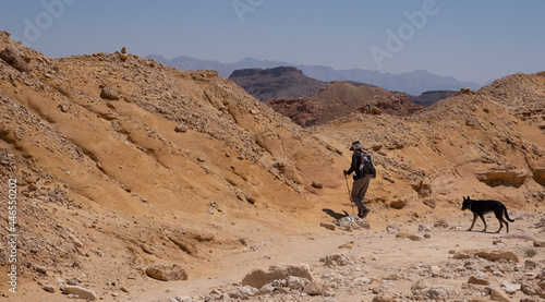 Male hiker and his dog on a hiking trail in Timna national park  Southern Israel. Silence and calm in a remote desert region in Eilat mountains. Red mountains. 