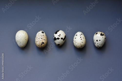 five whole quail eggs on gray background