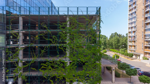 RIGA, Teika in June: car parking view that is covered with plants