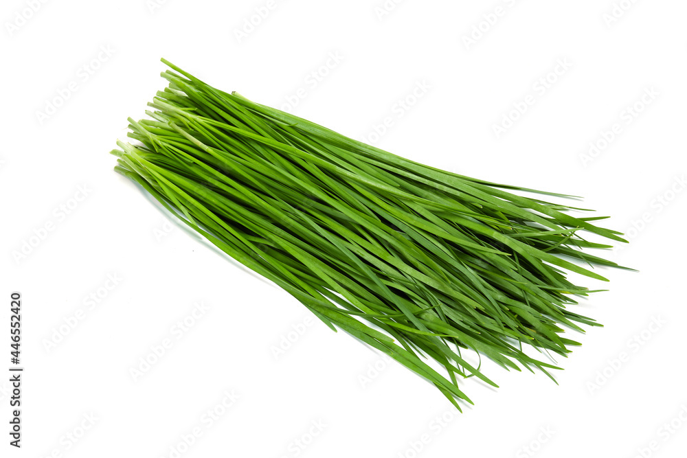 Fresh Chinese Chive or Kui-chai isolated on white background Fresh Chinese Chive or Kui-chai isolated on white background