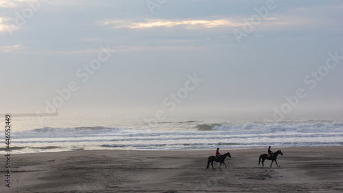霧中の海と乗馬 photo