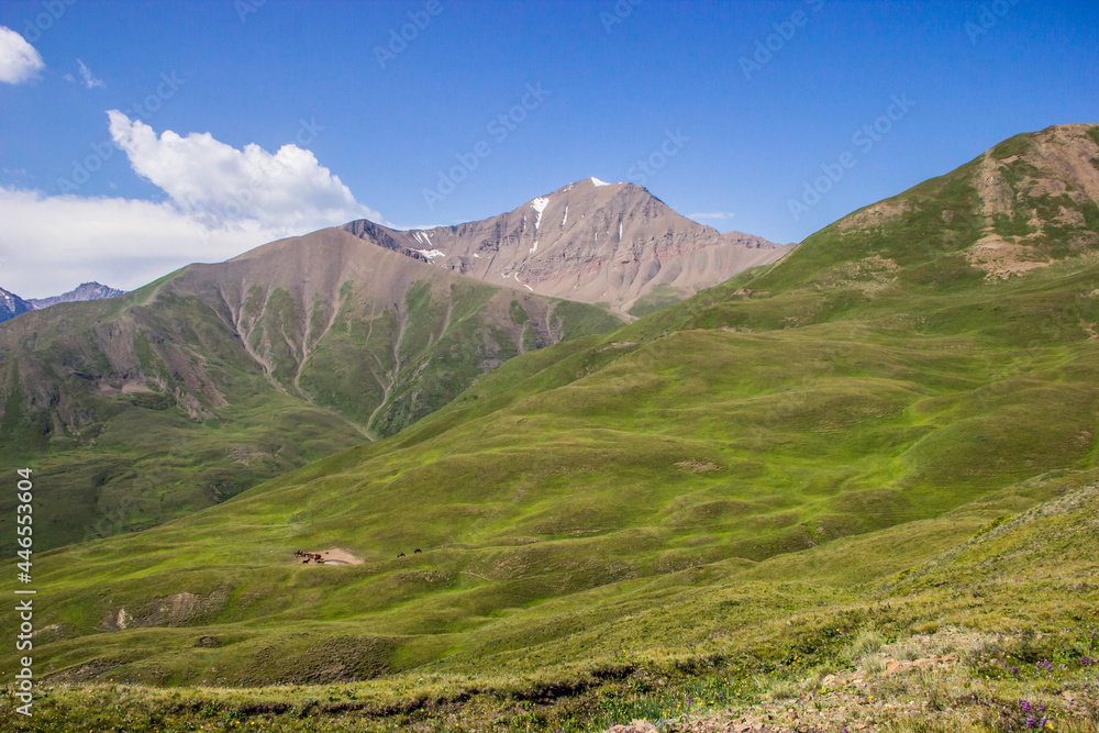 Beautiful Summer landscape: blue cloudy sky, green hills and distant mountains