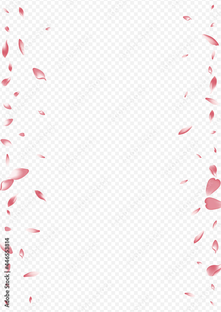 White Flower Vector Transparent Background. Rosa