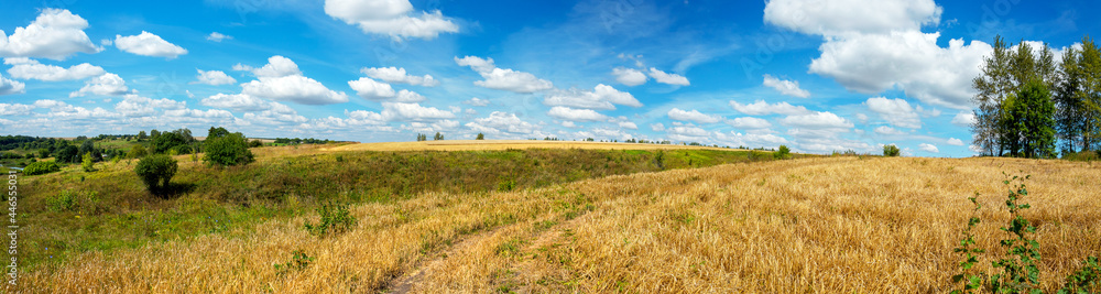 Summertime scenery.Beautiful rural view of blue sky over the golden wheat fields during sunny summer day.Summer panorama.
