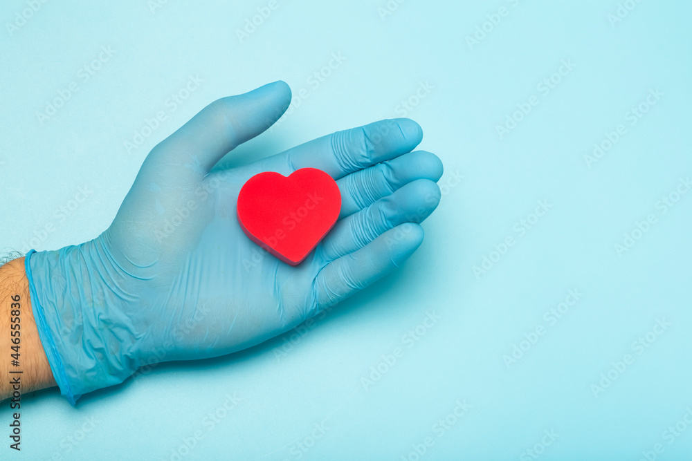 Fototapeta premium Heart in the hands of a doctor on a colored banner background. Donation, charity, health treatment, help concept. Medical health background and love. 