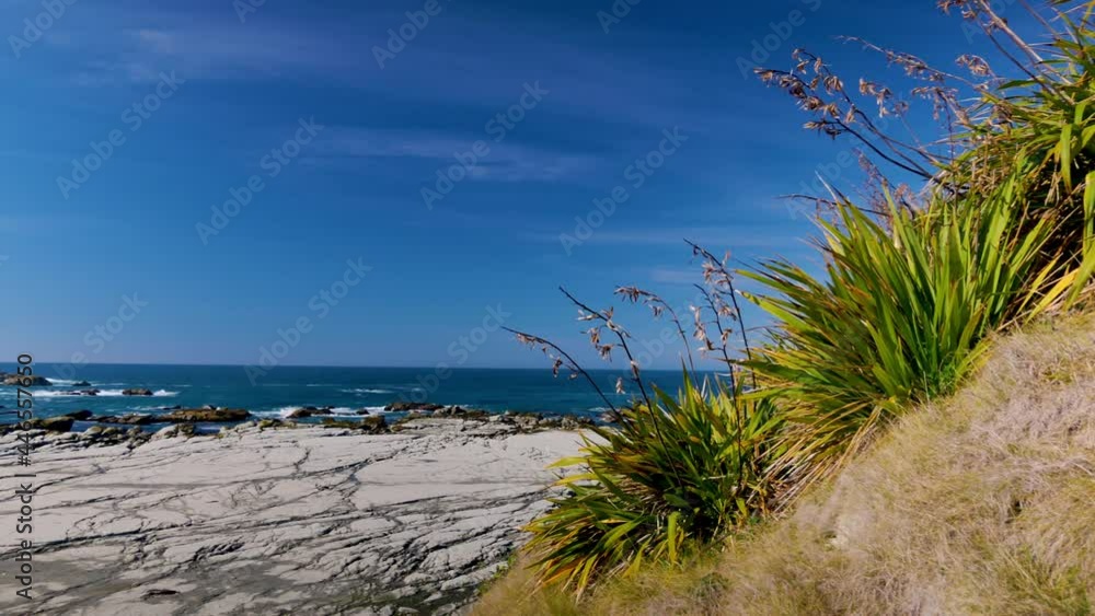 Panning shot showing empty white sand, green plants, blue sky and ocean during summer in Kaikoura,New Zealand. Panning shot showing empty white sand, green plants, blue sky and ocean during summer in Kaikoura,New Zealand.