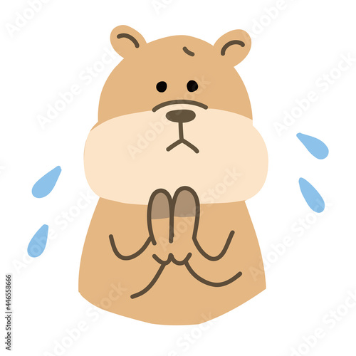 クアッカワラビー　ごめんなさいのポーズ
