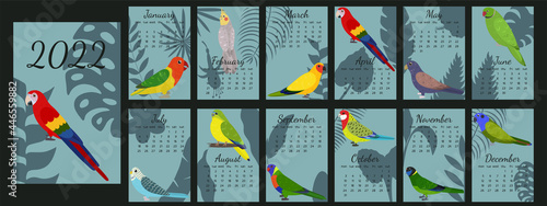 Calendar 2022 with cartoon parrots with cover. Calendar template with tropical leaf silhouette background. Week starts on Monday. Kid graphic. photo