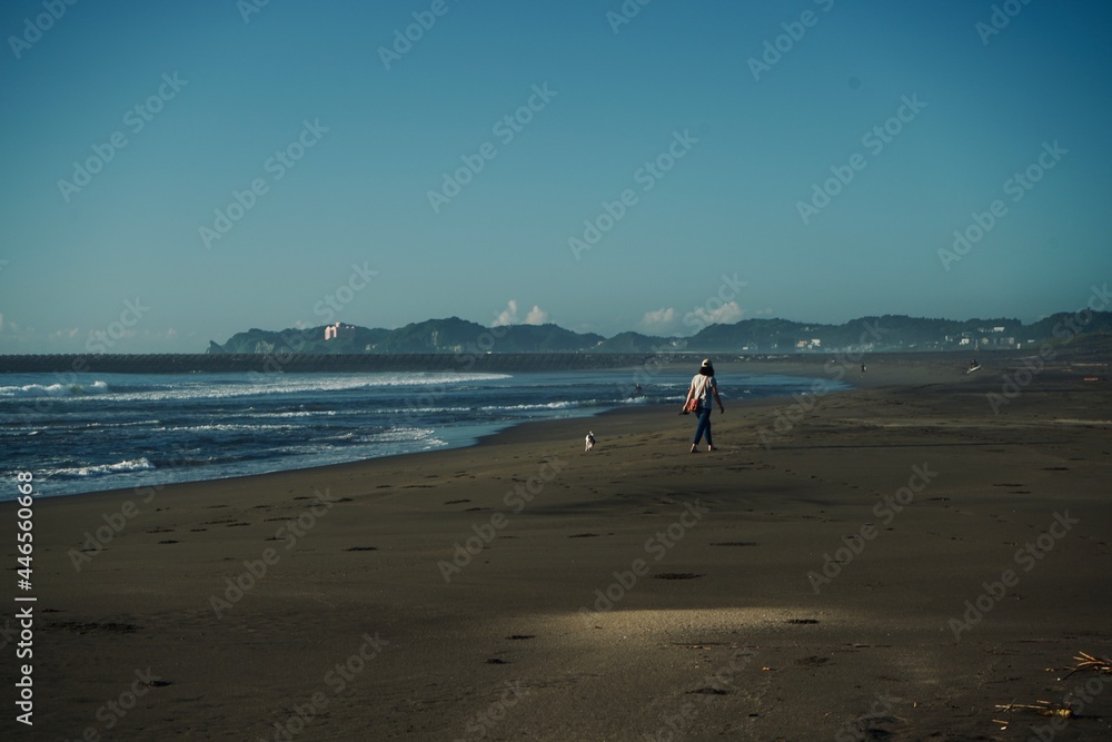 砂浜 散歩 犬 beach dog walking