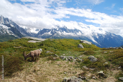 Tour du Mont Blanc  TMB 