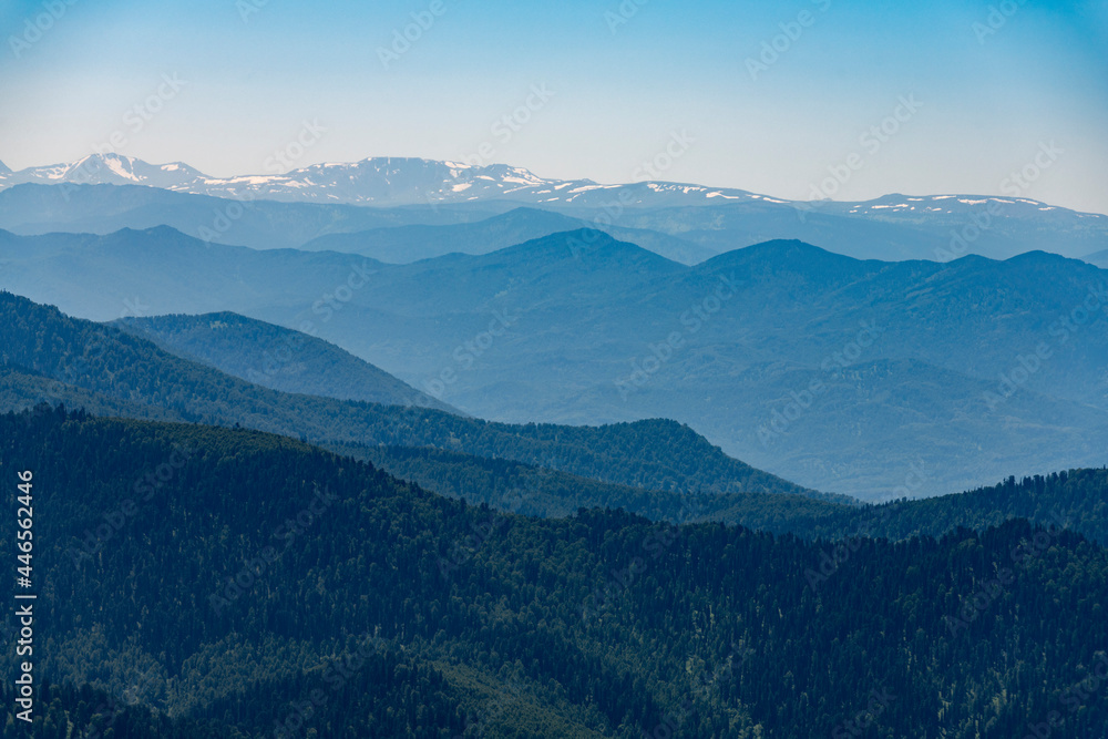 view of the snowy peaks, taiga of Gorny Altai from a height of 2,600 meters above sea level