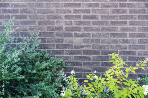 Gray brick wall with green plants. Brick material background. Interior, exterior, wallpaper, design background material. 