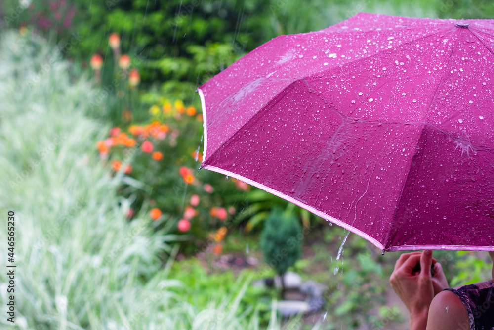 a young woman with a purple umbrella in the park on a rainy summer day