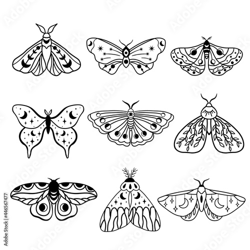 Night moths with moon and crescent moon isolated . Hand drawn black celestial doodle moth vector set.