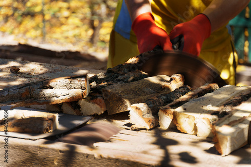 a carpenter works behind a circular saw. preparation of firewood