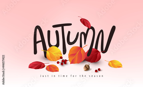  Variety of autumn leaves falling Autumn banner background and lettering