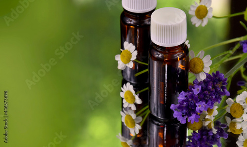Bottle of essential oil and flowers green frame stock images. Brown glass vial, flowers and herbs with copy space for text. Spa and wellness setting with with lavender and chamomile images