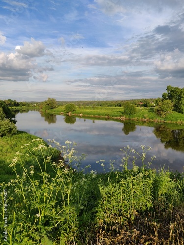 Fototapeta Naklejka Na Ścianę i Meble -  summer rural landscape with river, sky and meadow flowers