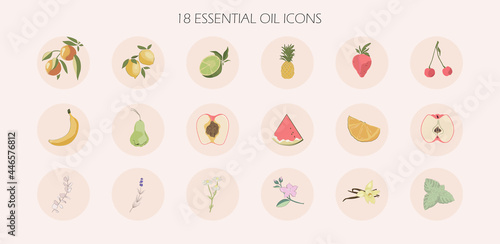 Instagram social media highlight cover icons web buttons. circle round infographic with essential oil aromatherapy flavors, fruits. for skin body care, cosmetics, beauty