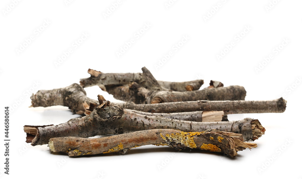 Dry, rotten twigs covered with lichen isolated on white background