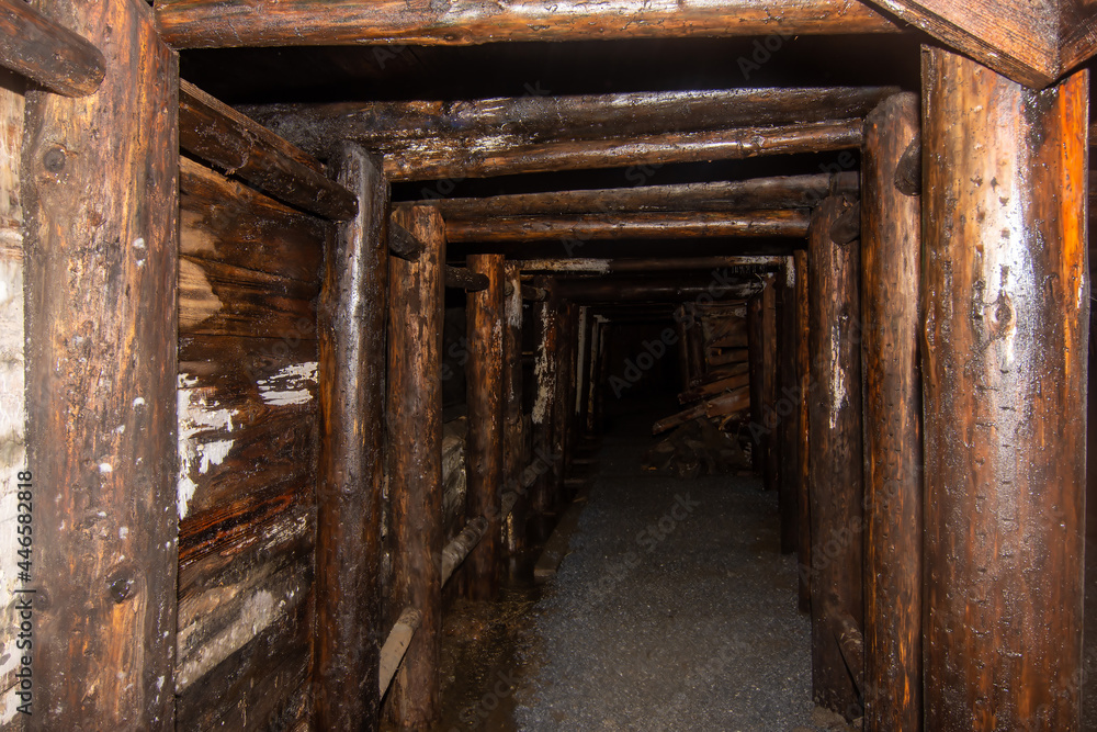 Wooden timbering tunnel in old abandoned gold mine