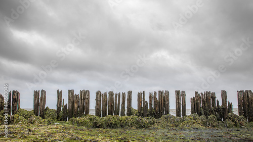 Waddenzee coast Moddergat Paesens Friesland Netherlands. Unesco world heritage. Sea wall.