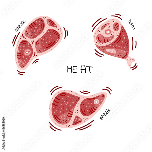 A set of entrecote, steak, meat with bone, ham, ham, bacon. Farm fresh meat, shoulder chops, lamb, beef, pork. Vector sketch, doodle, cartoon illustration