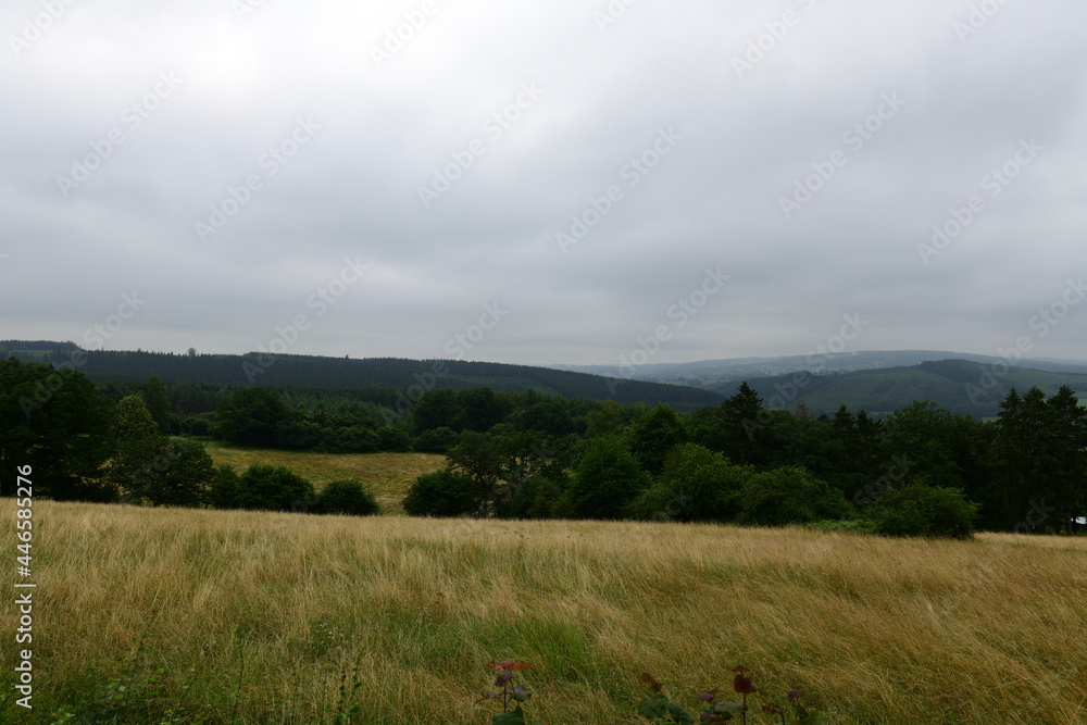 Fototapeta premium beautiful views on the country side of belgium, europe