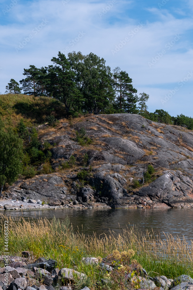 Small trees growing on top of a rocky cliff in the Finnish archipelago