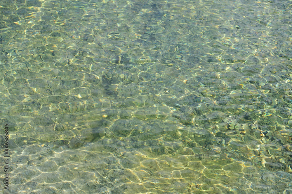 crystal clear water from a belgian lake
