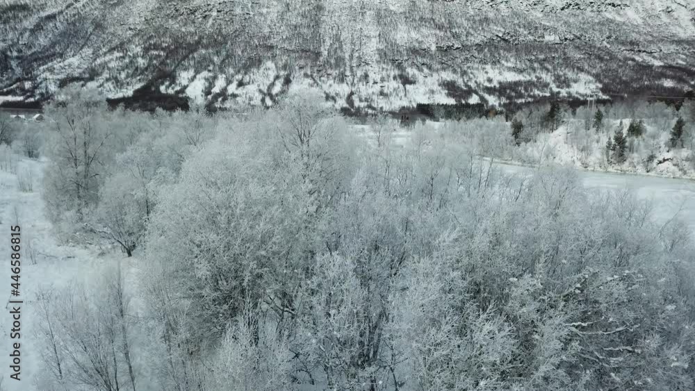 Dlog flat aerial drone view of norway lofoten islands winter landscape, frozen trees, snowy mountains and icy water Dlog flat aerial drone view of norway lofoten islands winter landscape, frozen trees, snowy mountains and icy water