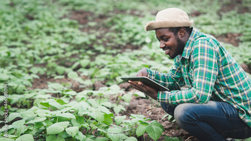 African farmer using tablet for  research leaves of plant in organic farm.Agriculture or cultivation concept photo