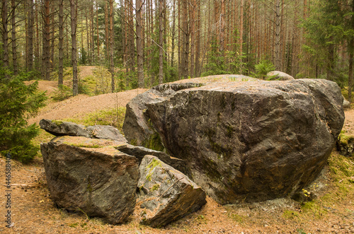 Zaku stone in forest, near Tuja village, Latvia. photo