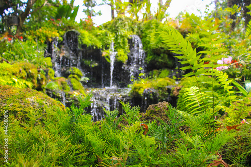 beautiful and lush waterfall garden