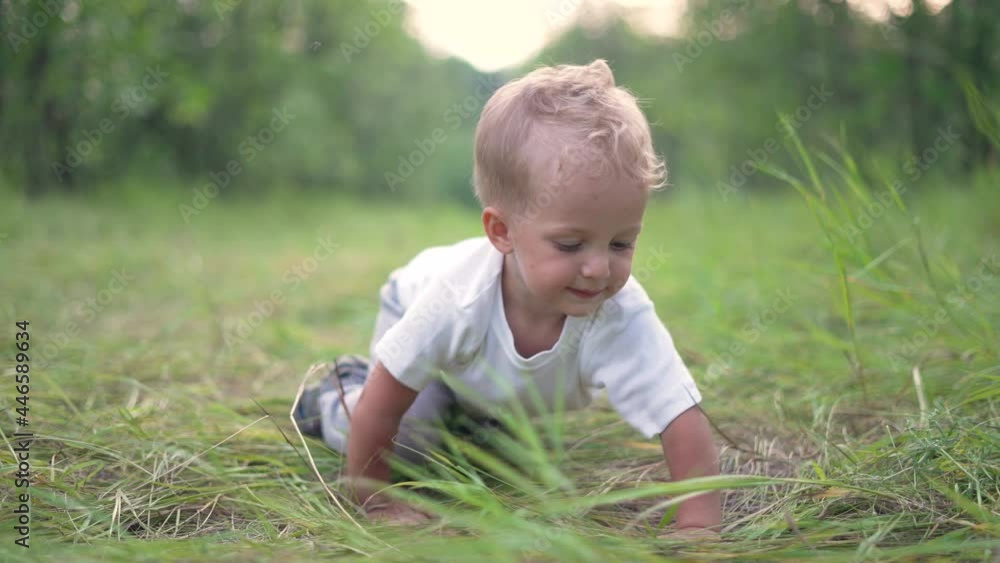 Happy kid in park. Baby is crawling on green grass. Child learns to move. Child dream. Little kid is crawling in forest park on grass. Happy kid outdoors. Baby dream. Joyful kid playing in forest park Happy kid in park. Baby is crawling on green grass. Child learns to move. Child dream. Little kid is crawling in forest park on grass. Happy kid outdoors. Baby dream. Joyful kid playing in forest park