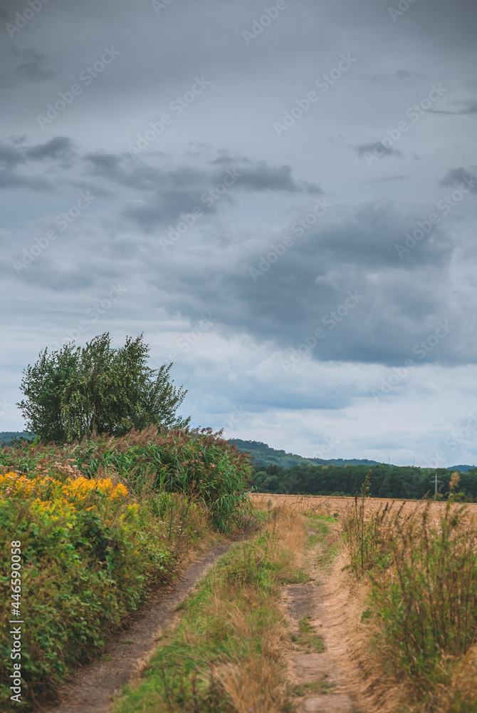 Naklejka premium Path in nature under cloudy sky