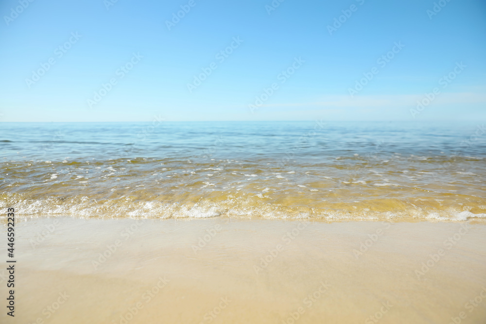 Sea wave rolling on sandy beach in summer, closeup