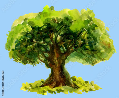 Beautiful trees of a classic look. Watercolor illustration in color.