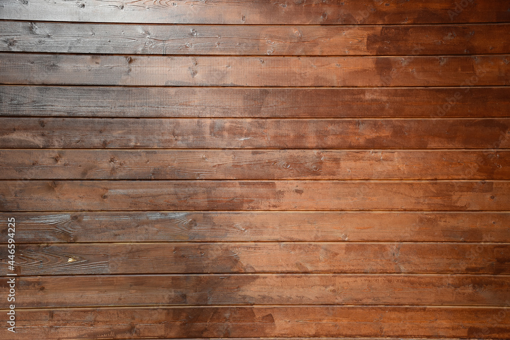 Obraz premium green tree natural texture background. long banner