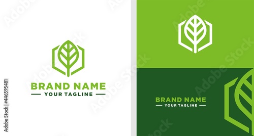 ECO TECHNOLOGY LOGO LEAF HEXAGON EDITABLE