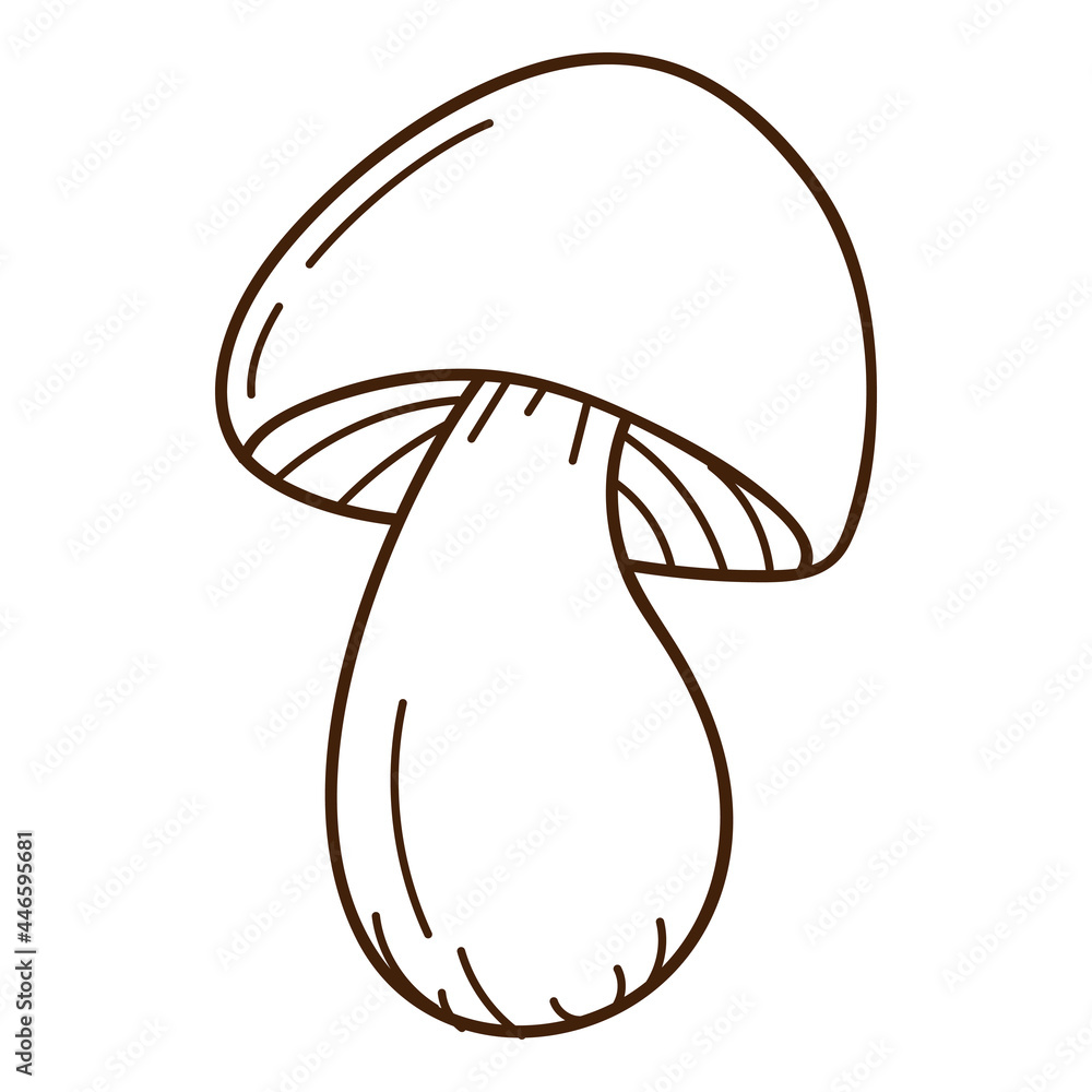 Forest mushroom with a cap, black birch. A symbol of the forest, autumn, and harvest. Design element with outline. Doodle, hand-drawn. Flat design. Black white vector illustration. Isolated on white Forest mushroom with a cap, black birch. A symbol of the forest, autumn, and harvest. Design element with outline. Doodle, hand-drawn. Flat design. Black white vector illustration. Isolated on white