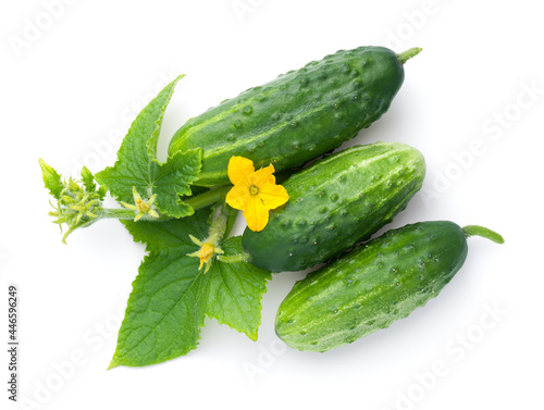 Cucumber With Leaf And Flower White Isolated