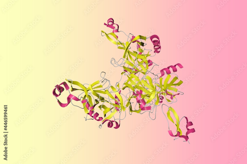 Human mesotrypsin in a complex with bovine pancreatic trypsin inhibitor