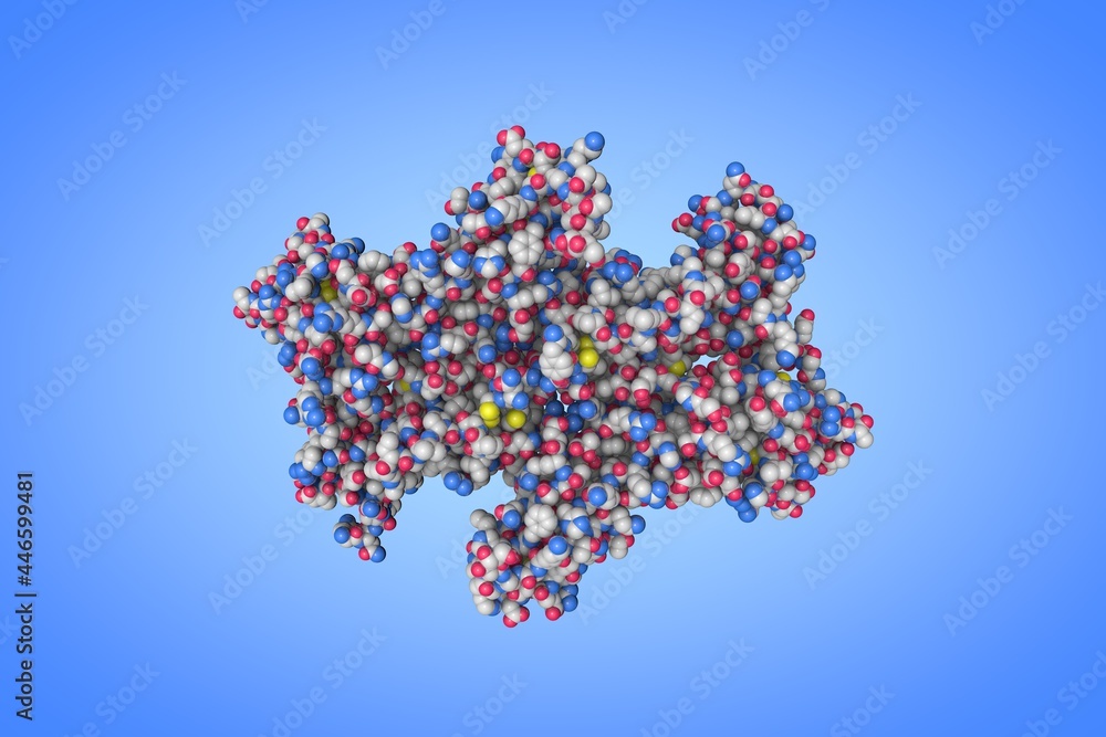 Space-filling molecular model of human interleukin-3 receptor complex. Scientific background. 3d illustration Space-filling molecular model of human interleukin-3 receptor complex. Scientific background. 3d illustration