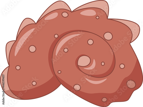 swirling cartoon seashell with spots and scallop
