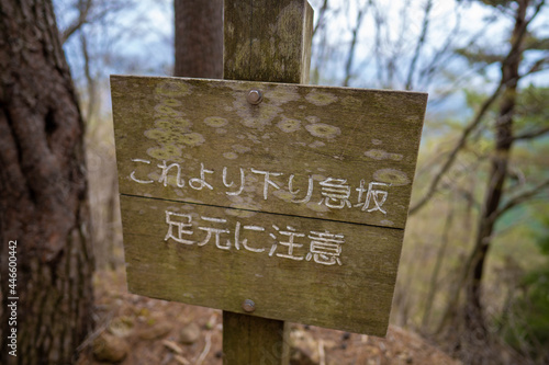 三ツ峠山登山道の風景 A view of the Mt. Mitsutoge trail