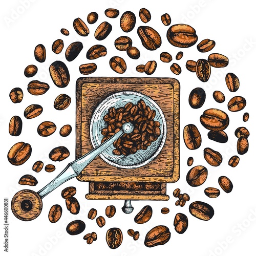 Coffee time. Hand-drawn coffee grinder with coffee beans. Top view. Collection of hand-drawn sketches. The style of engraving. For menu design, packaging, banner. Color illustration. Isolated objects