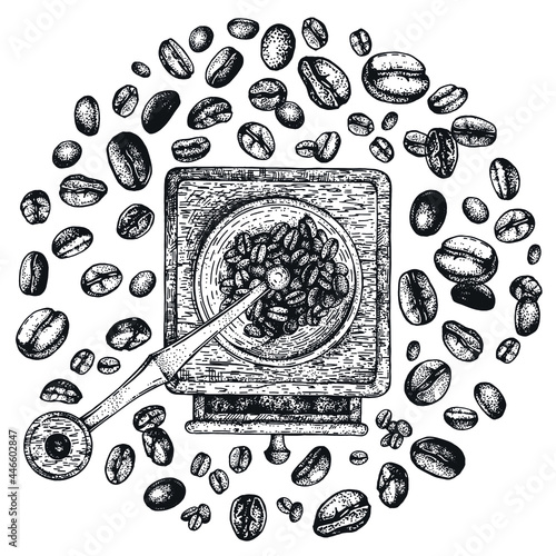 Coffee time. Hand-drawn coffee grinder with coffee beans. Top view. Collection of hand-drawn sketches. The style of engraving. For menu design, packaging, banner. Color illustration. Isolated objects