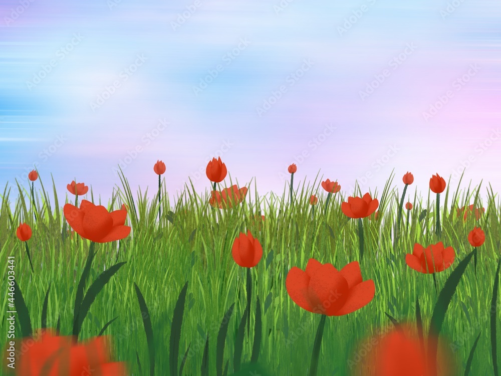 field of poppies. Illustration created on a tablet, use for background.
