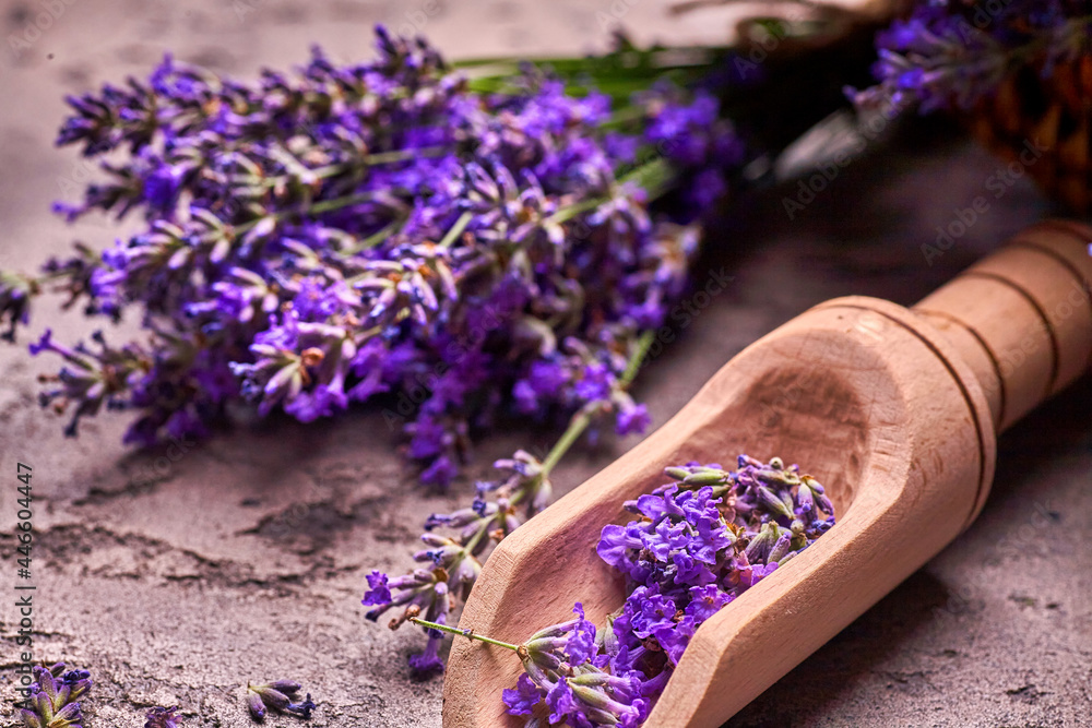 Lavender flowers on a gray concrete background with scratches Lavender flowers on a gray concrete background with scratches
